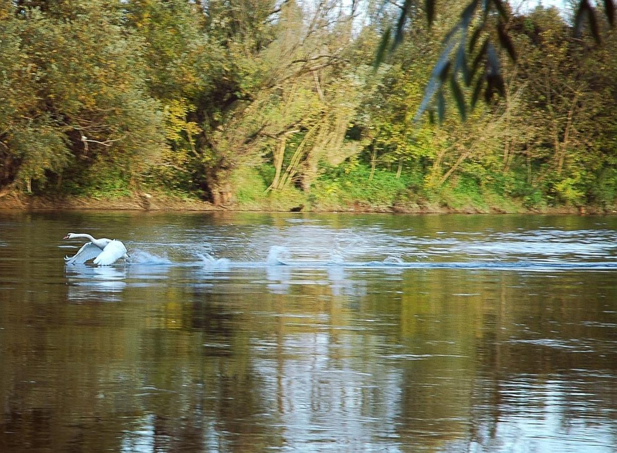 Zagreb, Kuca Za Odmor Swan River Holiday House Lasinja 외부 사진